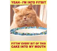 UK Greetings Birthday Card For Him/Her/Friend With Envelope - Funny Ginger Cat Design