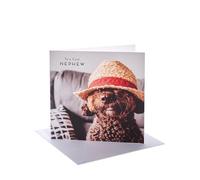 UK Greetings | Birthday Card for Nephew | Happy Birthday Gifts | Him, Boys, Men | Dog & Hat Design | With Envelope | 165 x 165 mm