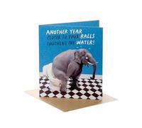 UK Greetings Birthday Card | Funny Elephant & Toilet Design | With Envelope
