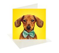 UK Greetings | Blank Greeting Card for All Occasions | For All Occasions | Thank you, Birthday, Congralutations | Her/Him | Dachshund in Bow Tie Design | With Envelope | 15.9 x 15.9 cm