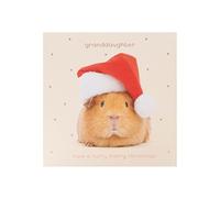 UK Greetings Christmas Card for Granddaughter - Guinea Pig Design