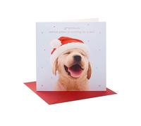 UK Greetings Christmas Card for Grandson - Cute Dog Design