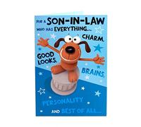 UK Greetings | Cute Son-in-Law Birthday Greeting Card | Happy Birthday Gifts | Him, Boys, Men | Funny Design | With Envelopes | 143 x 216 mm