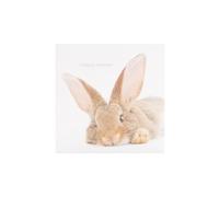 UK Greetings Easter Card for Him/Her/Friend - Cute Rabbit Design