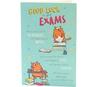 UK Greetings Exams Good Luck Card - Funny Good Luck in Your Exams Card - for Him or for Her - Exams Card for Boys or Girls - Good Luck Card