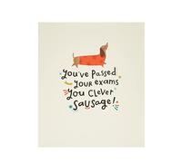 UK Greetings Exams Pass Card- You’ve Passed Your Exams Card - Cute Exams Passed Card - Clever Sausage, Multi (694452-0-1)