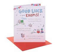 UK Greetings | Good Luck for Exams Card | Greeting Card | Her/Him | Oodles Good Luck Design | With Envelope | 15.9 x 18.4 cm