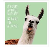 UK Greetings Its only Another Birthday! No Cause for A-Llama Humorous Funny Greeting Card Zoo-LOL-ogy