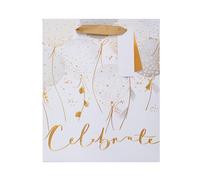 UK Greetings | Medium Gift Bag | For All Occasions | Thank you, Birthday, Congralutations | Birthdays/Weddings/Christmas | Celebrate Balloons Design | 19 x 22.9 cm