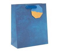 UK Greetings | Medium Gift Bag | Party Bags for Presents | Birthdays/Weddings/Christmas | Blue Design | 22.8 x 19 cm