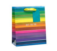 UK Greetings | Medium Gift Bag | Rainbow Design | Party Bags for Presents | For All Occasions | Thank you, Birthday, Congralutations | 19 x 23 x 8.9 cm