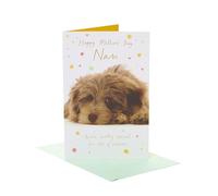 UK Greetings Mother's Day Card for Nan - Cockapoo Design