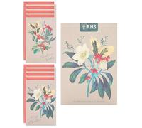 UK Greetings | Multipack of 8 RHS Christmas Cards for Him/Her/Friend | Christmas Gifts | Rose & Robin Wallet Design | 11 x 16cm