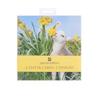 UK Greetings | Multipack of Easter Cards | Easter Photographic Design