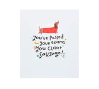UK Greetings Passing Exams Card For Him/Her/Friend With Envelope - Sausage Dog Design