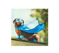 UK Greetings UKG Card 55 SA Camden Photographic, Multi, 621575-0-1