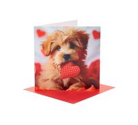 UK Greetings | Valentine's Day Card | I Love You Presents | Her/Him | With Envelope | 15.9cm x 15.9cm