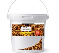 UK GROW Premium Bucket of Calci worms/Black soldier fly lave Similar to Dried Mealworm (5L)