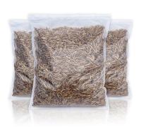 UK Grown Dried Mealworms for Birds & Reptiles - High Protein Natural Treat - Fresh Daily Packed, Premium Quality Insects - Multiple (10 Litre Value Bag)