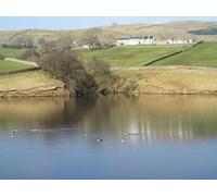 UK Photo Poster Print A4 / 12"x8" Across the lake to Stake Hill Thringarth Canada geese on Grassh c2015
