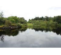 UK Photo Poster Print A4 / 12"x8" Glenwhan Gardens, Lake Dunragit 2 c2013