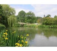 UK Photo Poster Print A4 / 12"x8" Lake in Titsey Place Gardens c2015
