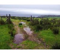 UK Photo Poster Print A4 / 12"x8" Looking Across Pastures Towards Carradale Harbour Looking on fr c2012