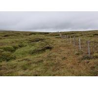UK Photo Poster Print A4 / 12"x8" On Blake Hill looking North West Waterfall Gill Beck Wooden fen c2014
