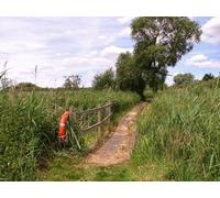 UK Photo Print 8"x6" Boardwalk and bridge on the summer path Surlingham c2017