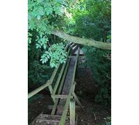 UK Photo Print 8"x6" Descent Into The Dark Risley/SK4635 c2008