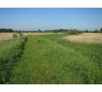 UK Photo Print 8"x6" Footpath along river bank Shepherds' Fen c2017