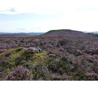 UK Photo Print 8"x6" Looking from Shepherd's Cairn south west Chillingham c2015