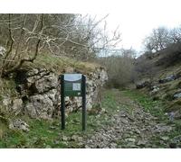 UK Photo Print 8"x6" Path entering the Monk's Dale nature reserve Hardgatewall c2012