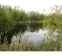 UK Photo Print 8"x6" RSPB Old Moor Wath Upon Dearne c2012