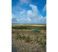 UK Photo Print 8"x6" Rye Harbour RSPB Nature Reserve Rye Harbour c2015