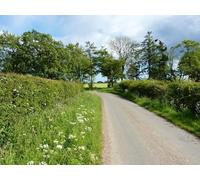 UK Photo Print 8"x6" Sharp bend and a shelter belt Drumeldrie c2015