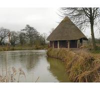 UK Photo Print 8"x6" Slimbridge Wildfowl Reserve. Shepherd's Patch c2012