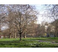 UK Photo Print 8"x6" Spring in St James's Park Westminster c2012 P1