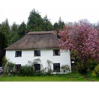 UK Photo Print 8"x6" Thatched House, Milton Abbas, Dorset Milton Abbas c2012