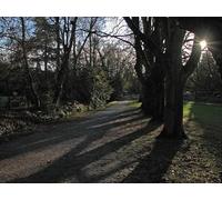 UK Photo Print 8"x6" The Backs in November Cambridge/TL4658 c2012