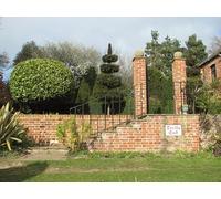 UK Photo Print 8"x6" Topiary at Devil's End Haddiscoe c2015