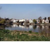 UK Photo Print 8"x6" View across the Thames to Twickenham Twickenham c2012