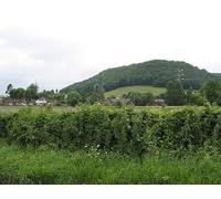 UK Photo Print 8"x6" View to Coughton and Chase Wood Coughton/SO5921 c2007