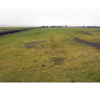 UK Photo Print 8"x6" WWT Slimbridge Shepherd's Patch c2012 P3