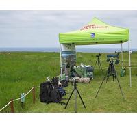 UK Photo Print 8"x6" Yorkshire Coast Nature event at RSPB Bempton Bempton c2013