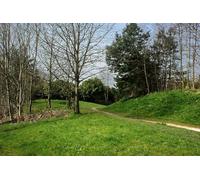 UK Photo Print A4 / 12"x8" A hidden path Worsley/SD7401 Hidden from the traffic whooshing c2010
