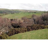 UK Photo Print A4 / 12"x8" Above the ravine at Glanfred Dole Looking across the steep ravi c2010