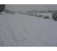 UK Photo Print A4 / 12"x8" Another day, another scene Comiston Braidburn Valley Park looki c2010