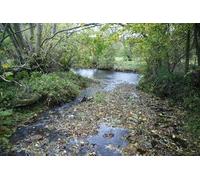 UK Photo Print A4 / 12"x8" Approaching the ford near Brackensgill Lenacre It doesn't c2012