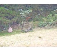 UK Photo Print A4 / 12"x8" Around Edmund's Tump [3] Cross Ash The footpath circles the hil c2011
